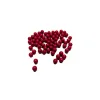 Umarex .15G Airsoft 6mm BBs Red 5000 Ct Jar